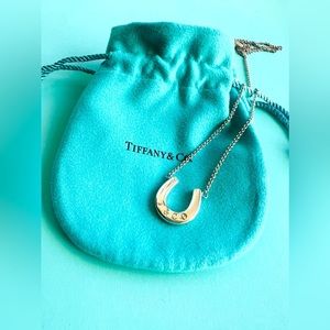 Tiffany & Co. 20” 925 Sterling Silver T&CO Lucky Horseshoe Necklace w Pouch Rare